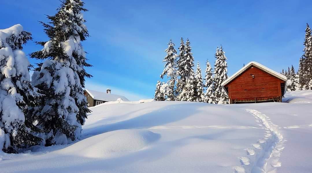 Vinterstid er dette et utgangspunkt for flotte skiturer i et stort løypenett. Galleribilde