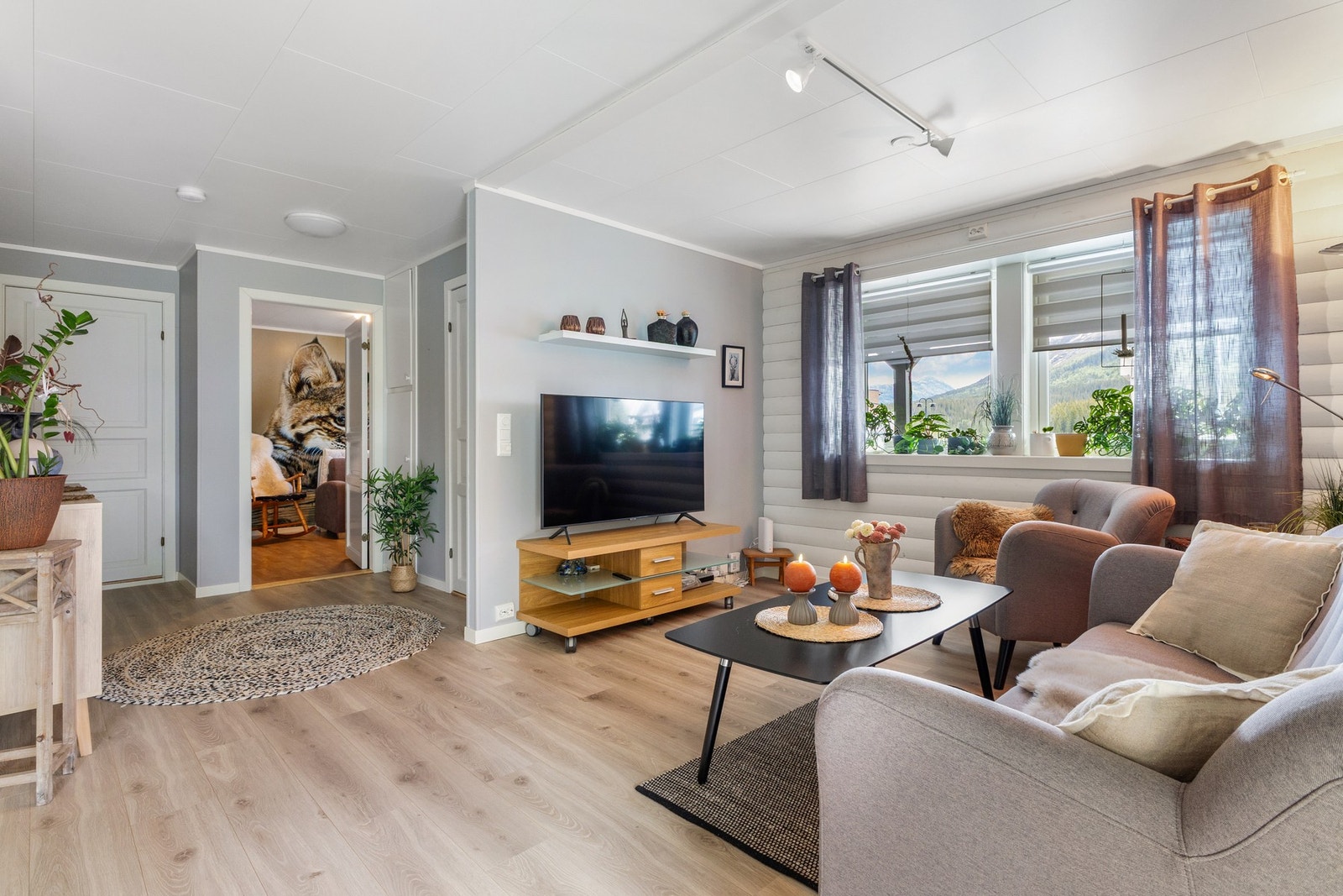 Vinduene slipper inn godt med dagslys Galleribilde