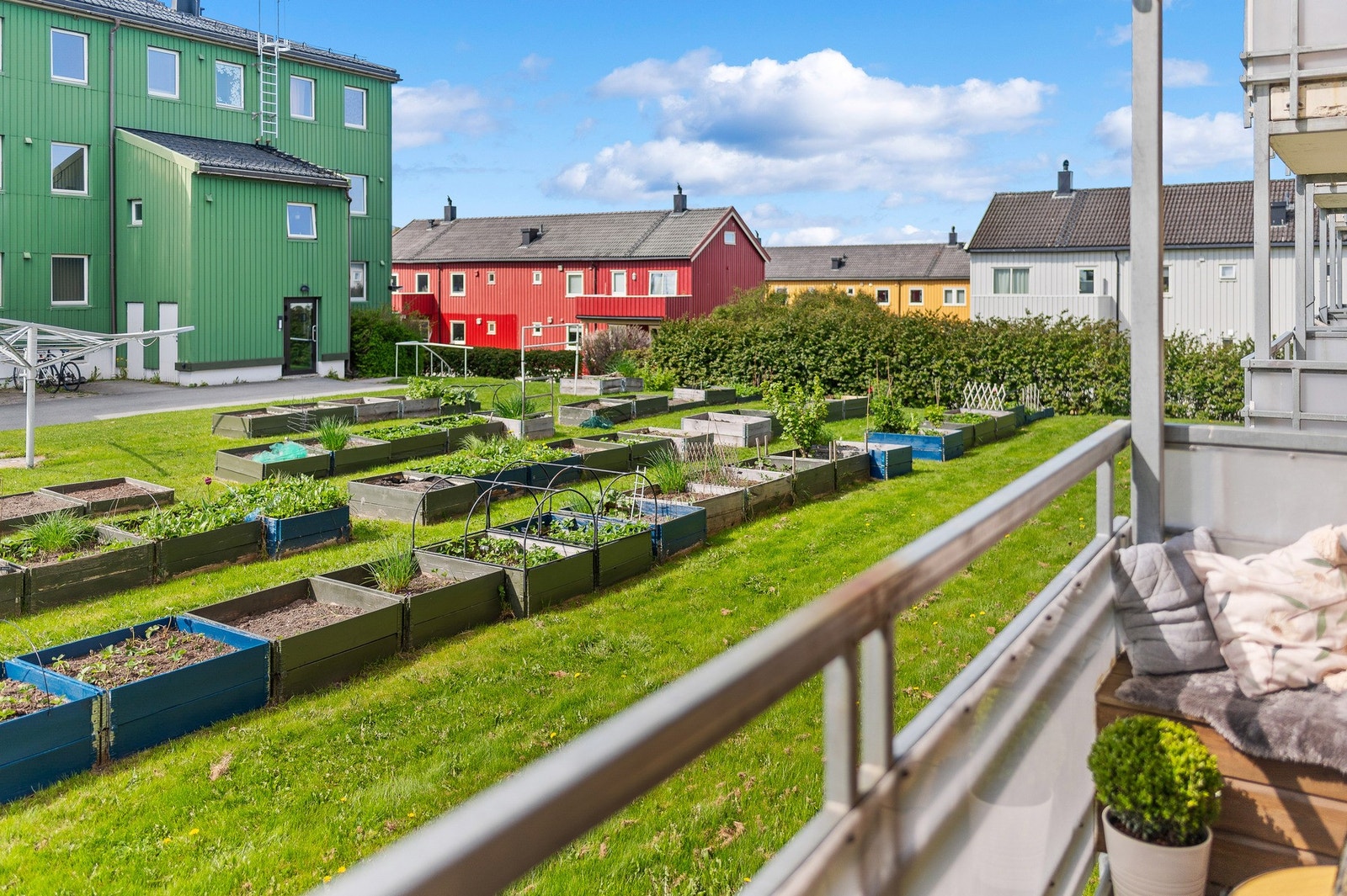 Flott opparbeidet felleshage. Det er mulig å leie 2 stk plantekasser for kr. 250,- i året. Galleribilde