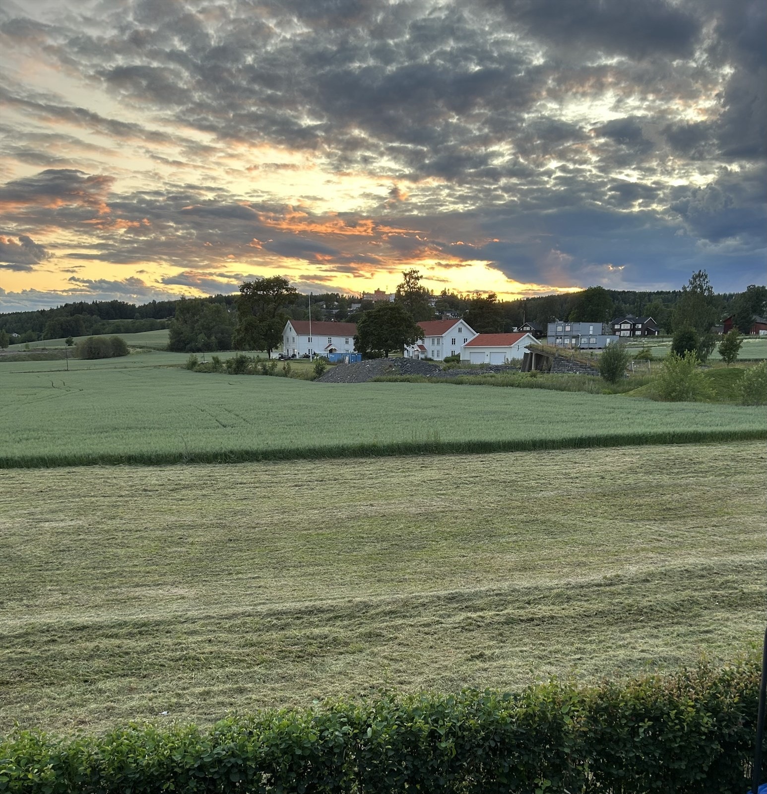 Selgers egne bilder. Galleribilde