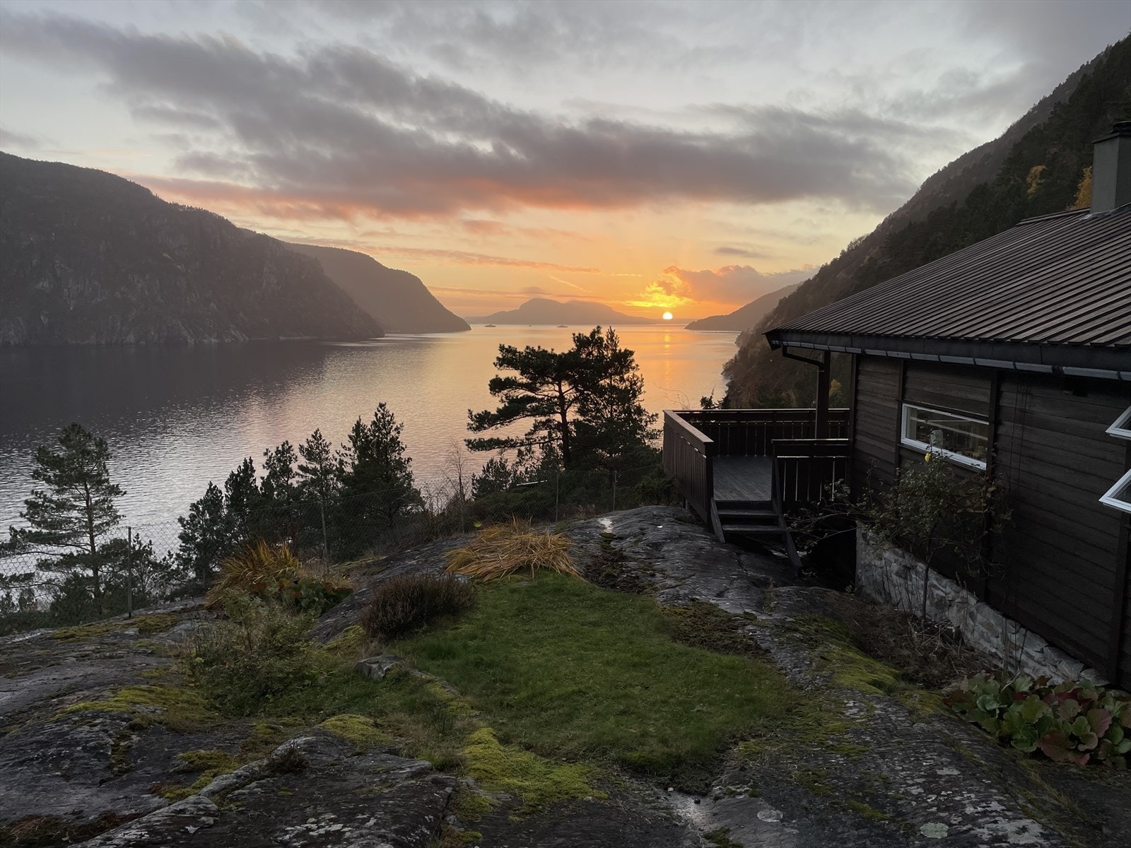 Selgers private bilder Galleribilde
