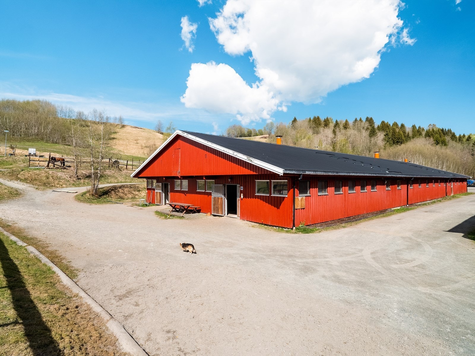 Stor stall på ca 1272 kvm. Første etasje er innredet med 40 hestebokser, diverse lagerrom og vaskeplasser. Loft/kaldloft med lagringsplass. Galleribilde