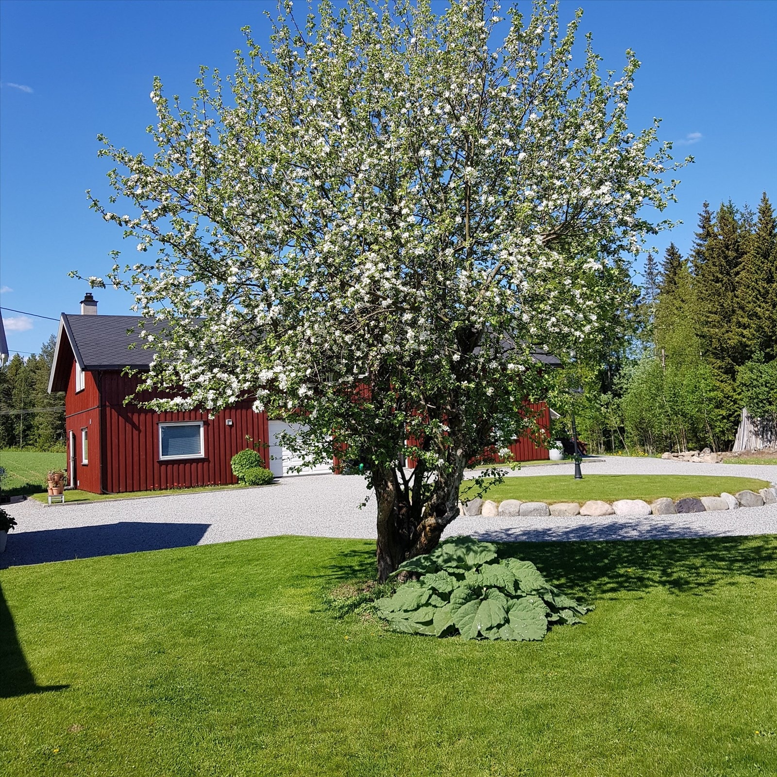 Selgers egne bilder Galleribilde
