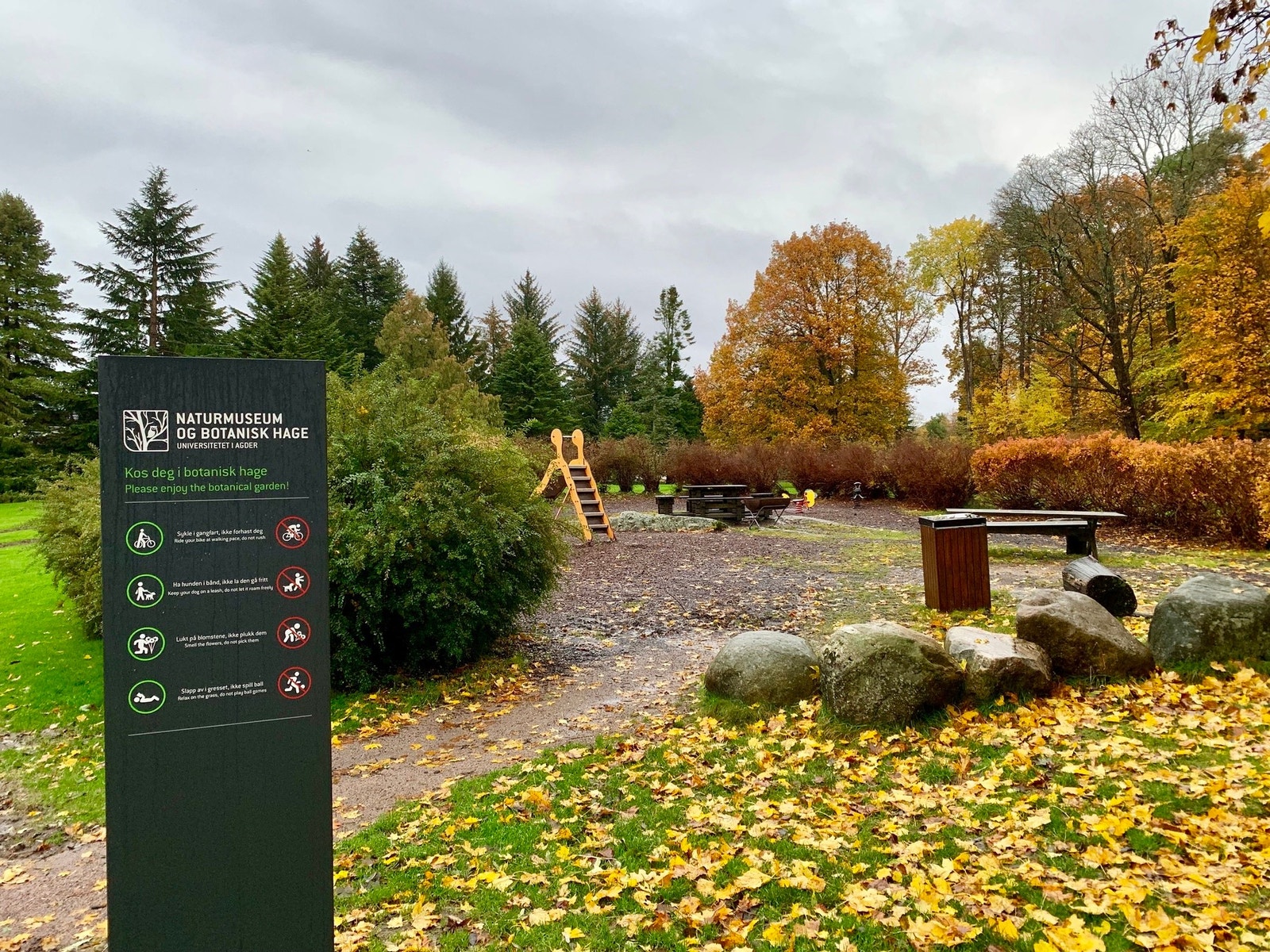 Fra naturmuseumet ved Gimle Gård Galleribilde