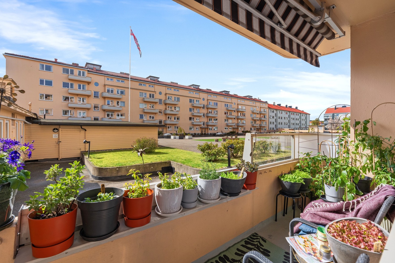 Fra den hyggelige verandaen hvor selger har mange krukker Galleribilde