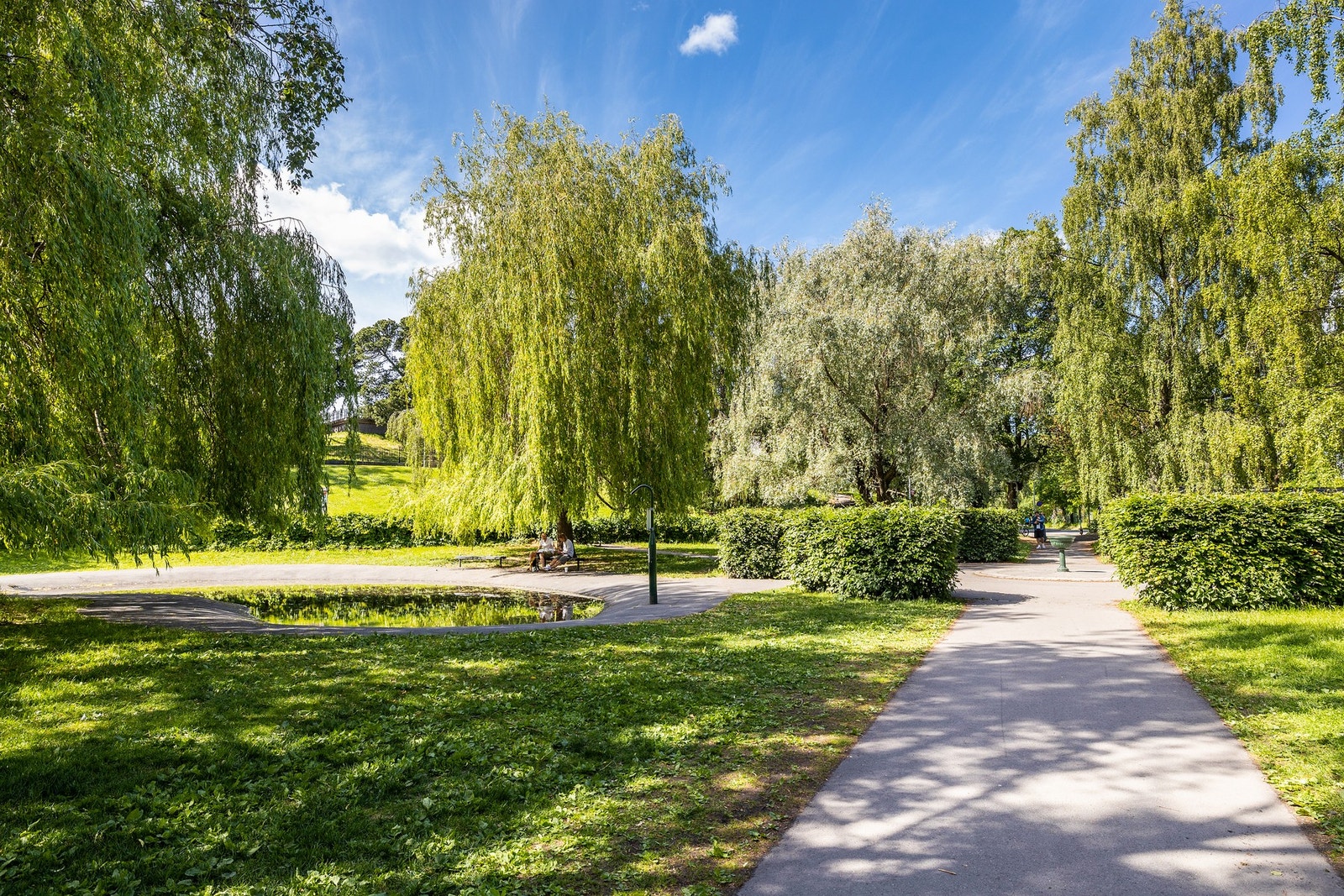 Fine turområdet i nærområdet. Galleribilde