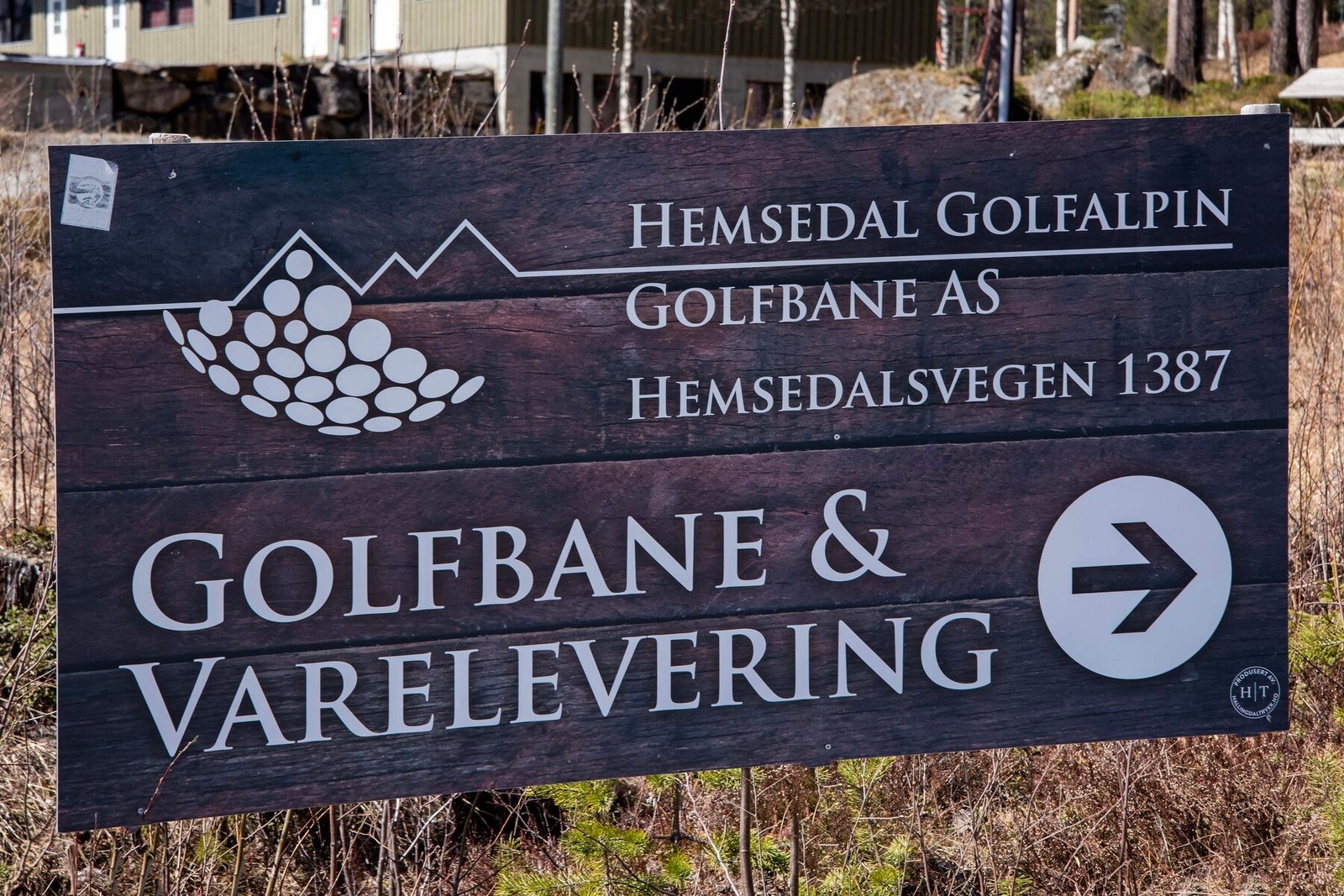 Områdebilde. Galleribilde