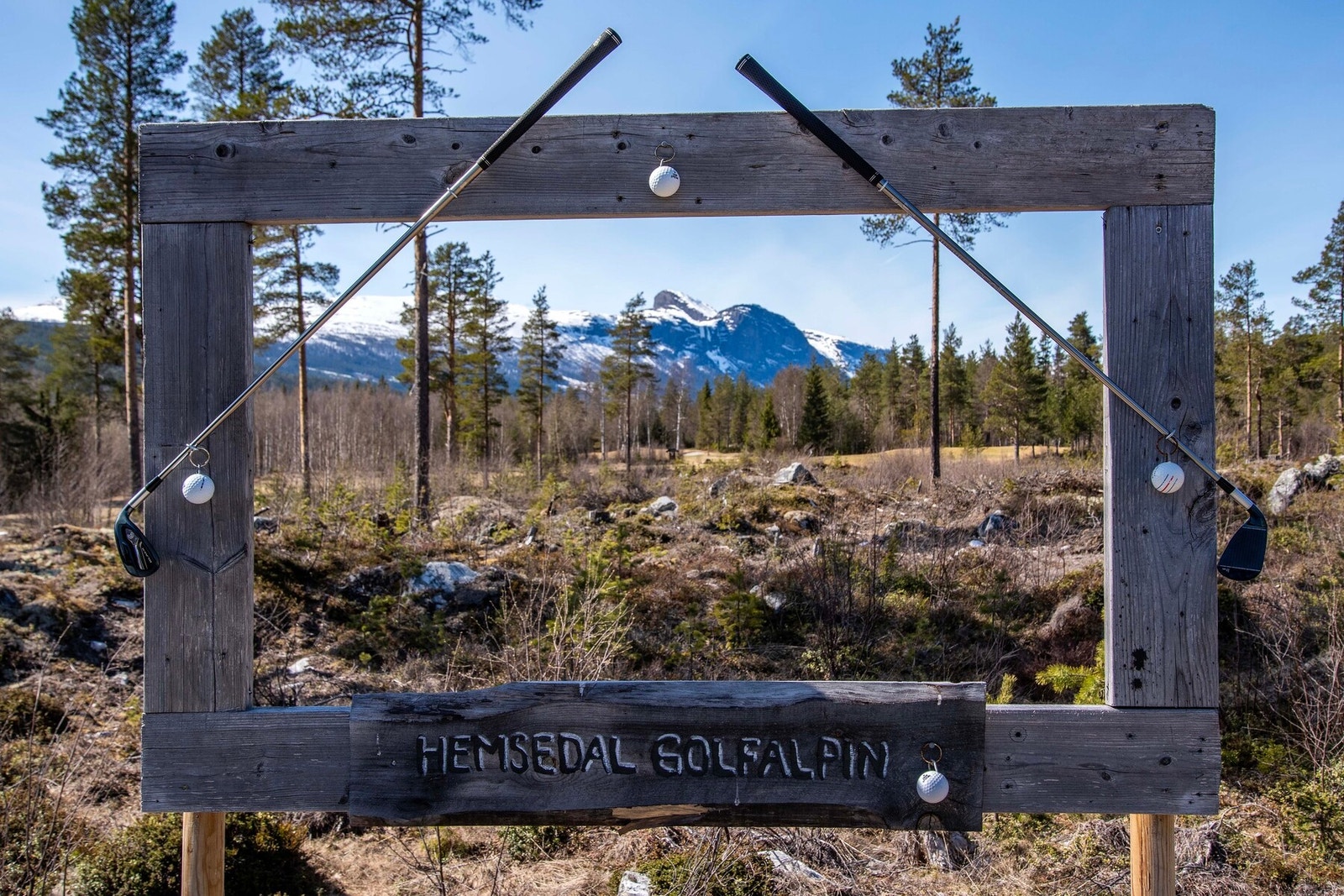 Områdebilde. Galleribilde
