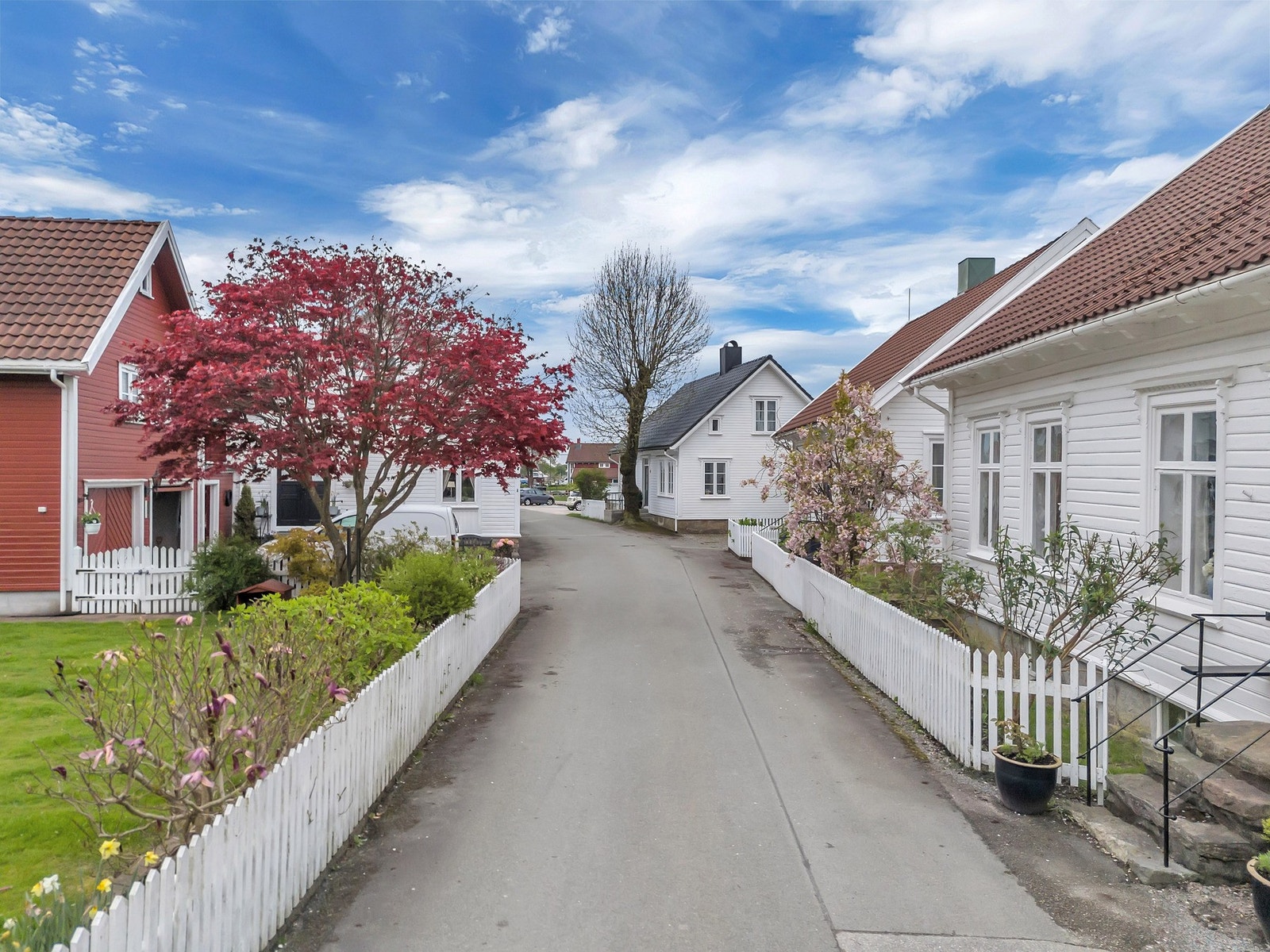 Høllegata er ikonisk med sine koselige hvite trehus Galleribilde