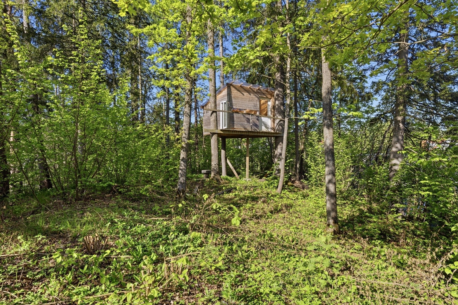 Trehytte for de minste. Galleribilde