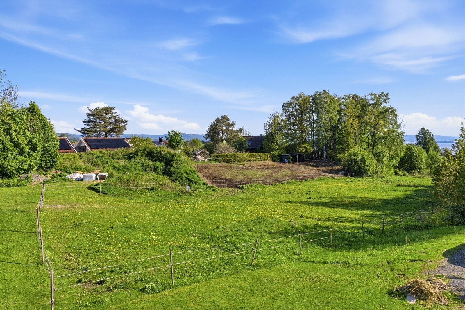 På jordene på andre siden av veien er det ofte hester på beite. Galleribilde
