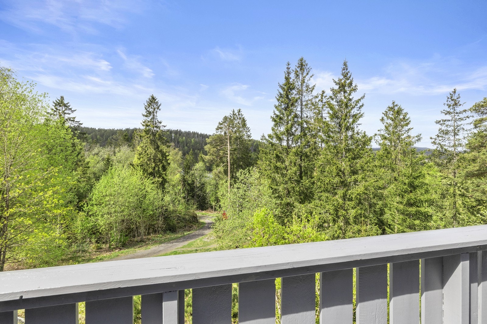 Utsikt mot frodige grøntområder rett fra egen veranda. Galleribilde