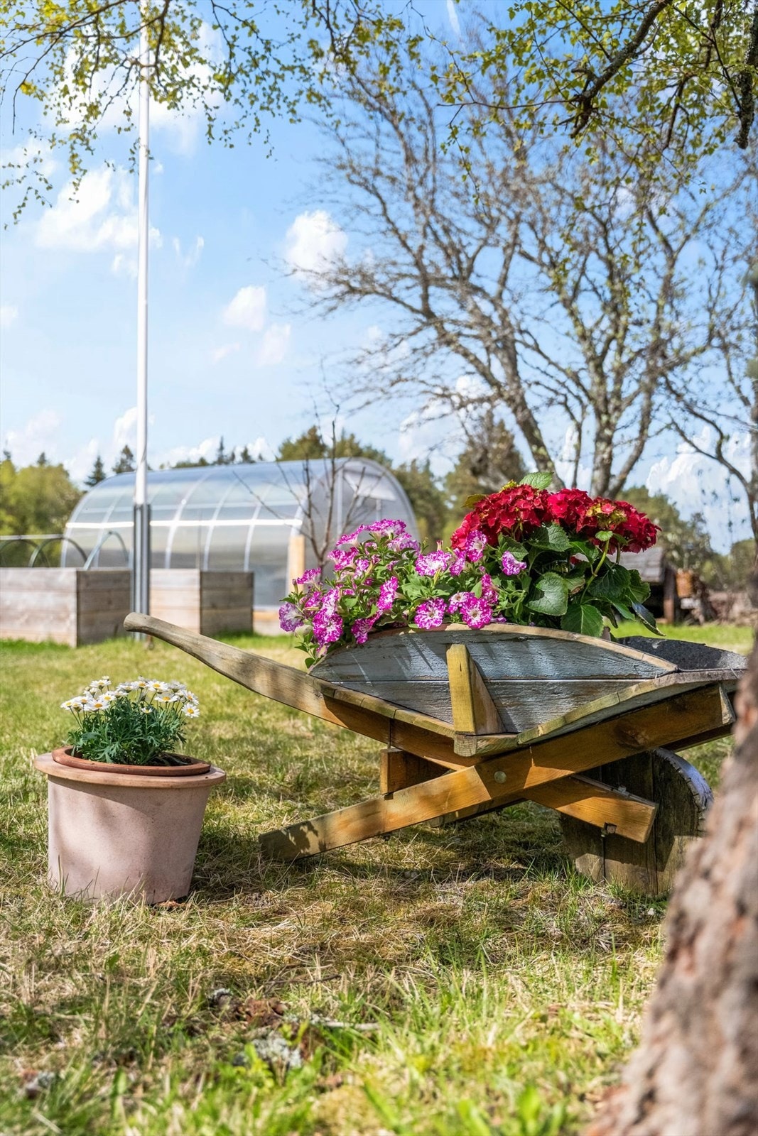 Eiendommen har de siste årene fått flere oppgraderinger ute, med nytt drivhus i fjor, to store grønnsakskasser og nye plattinger både foran huset og bak garasjen. Galleribilde