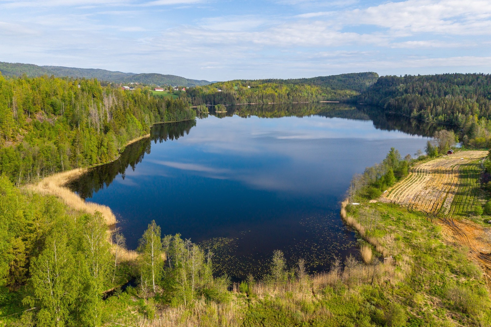 Områdebilde av Ilestadvannet - gå direkte fra boligen og ta et bad! Galleribilde