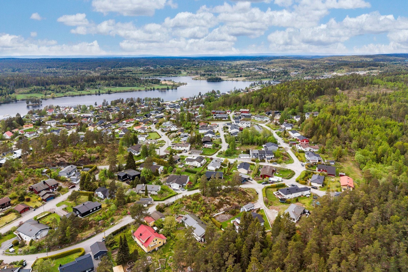 Oversikt over det rolige og etablerte nabolaget. Galleribilde