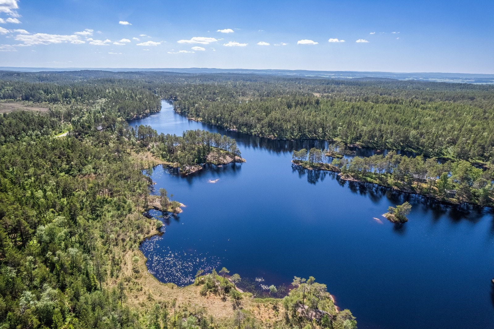 Fra Trømborgfjella Galleribilde