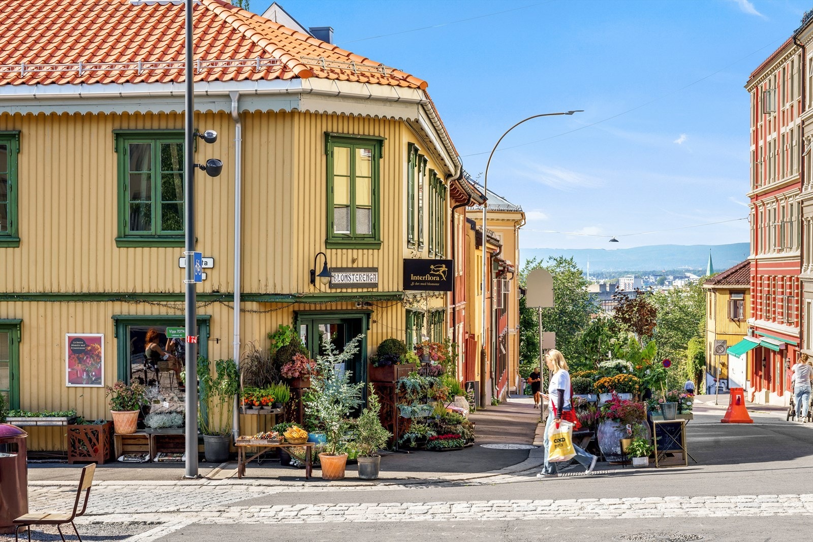 Koselige blomsterenga Galleribilde