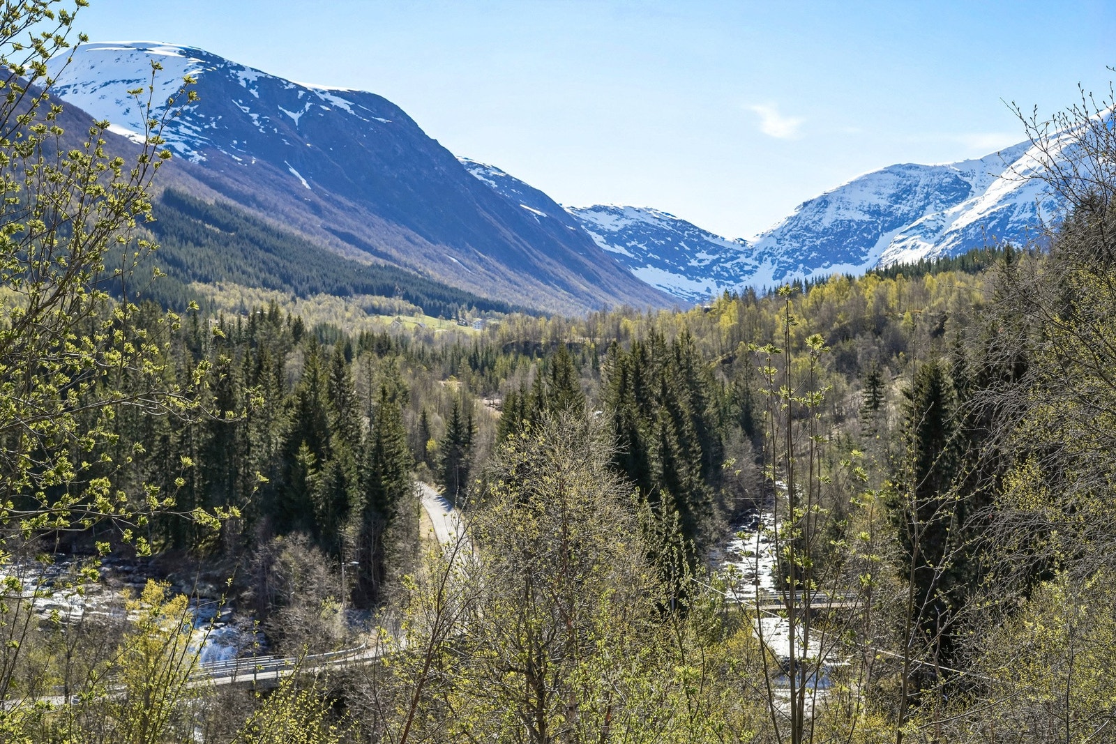 - med flott utsikt til mektige fjelltopper og med vakker natur som nærmeste nabo. Galleribilde