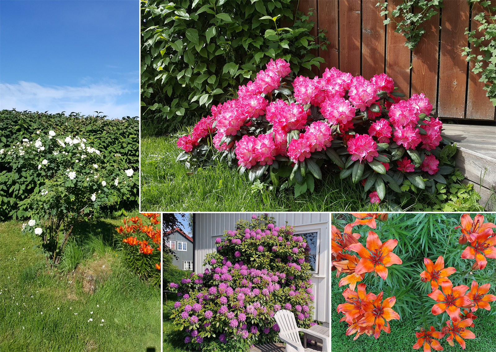 Hagen er pent opparbeidet med variert beplantning og blomster som skaper en frodig og innbydende oase (selgers private bilder). Galleribilde