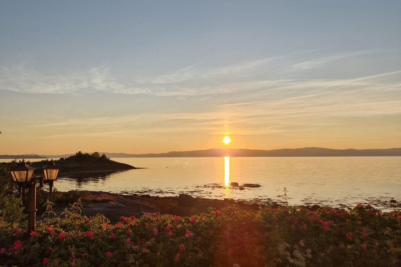 Selgers eget bilde. Galleribilde