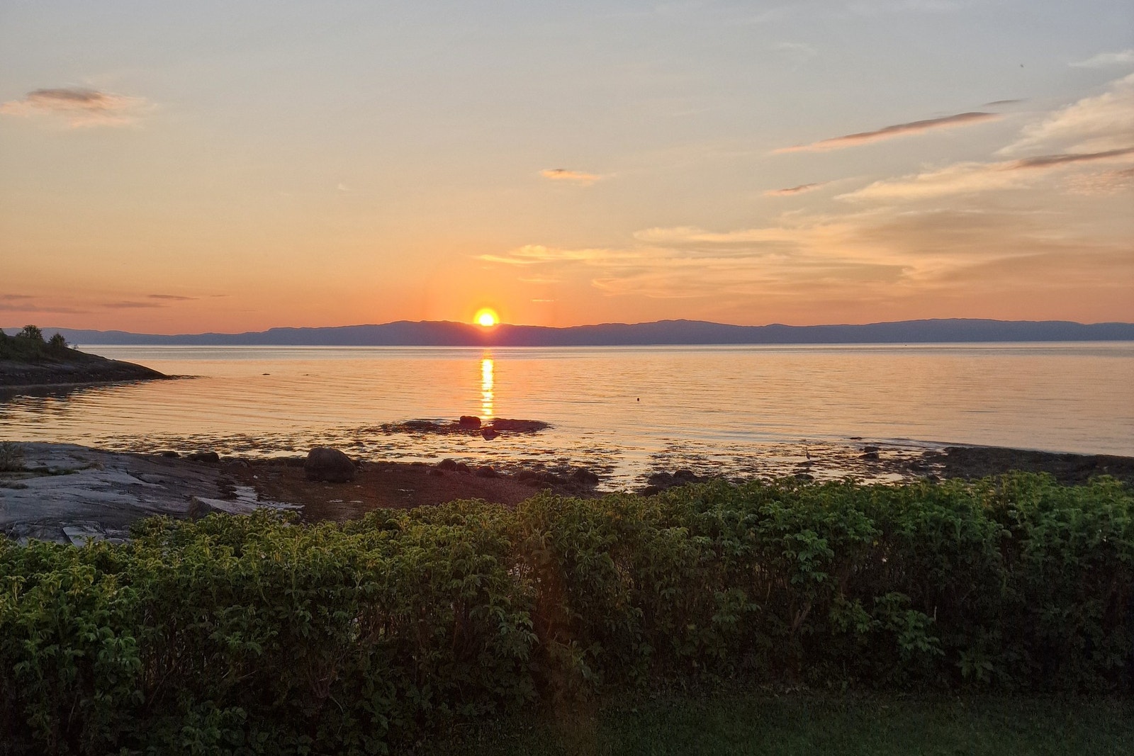 Selgers eget bilde. Galleribilde