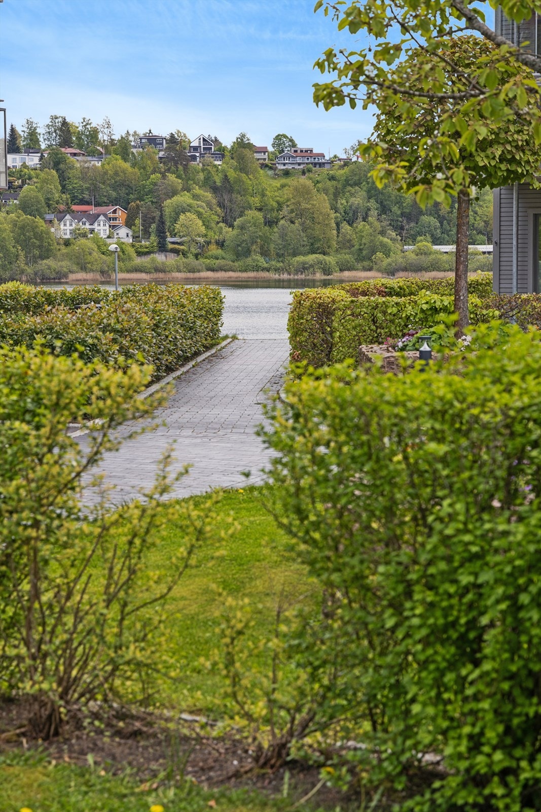 Området ligger lekkert plassert ned til vannet. Galleribilde