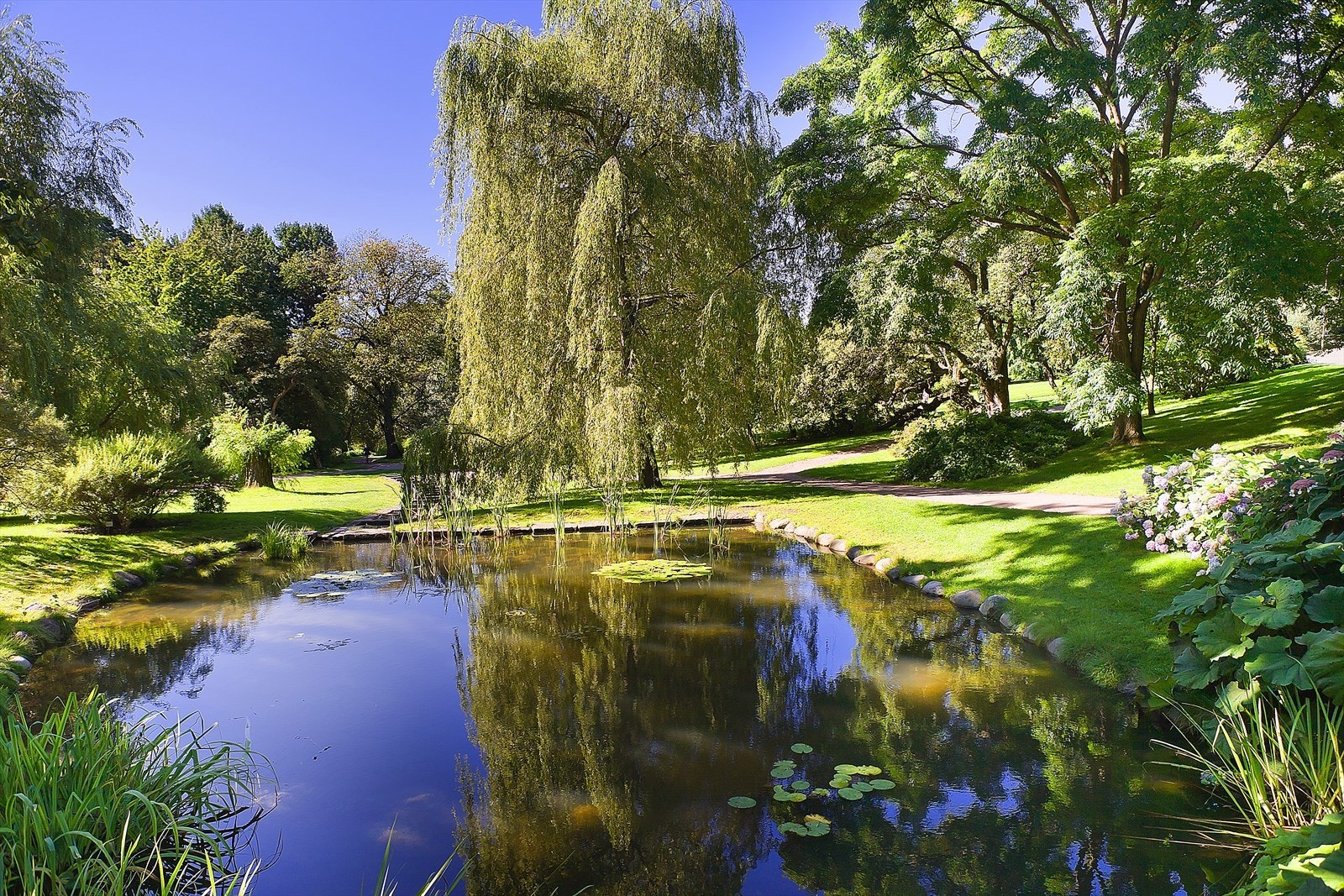 Byens fineste park, Botanisk hage, ligger kun en spasertur unna. Hagen har 5500 forskjellige planteslag, samlet siden etableringen i 1814. Galleribilde