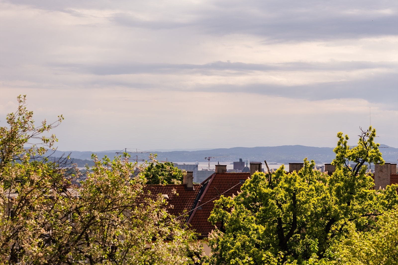 Nydelig utsikt! Galleribilde