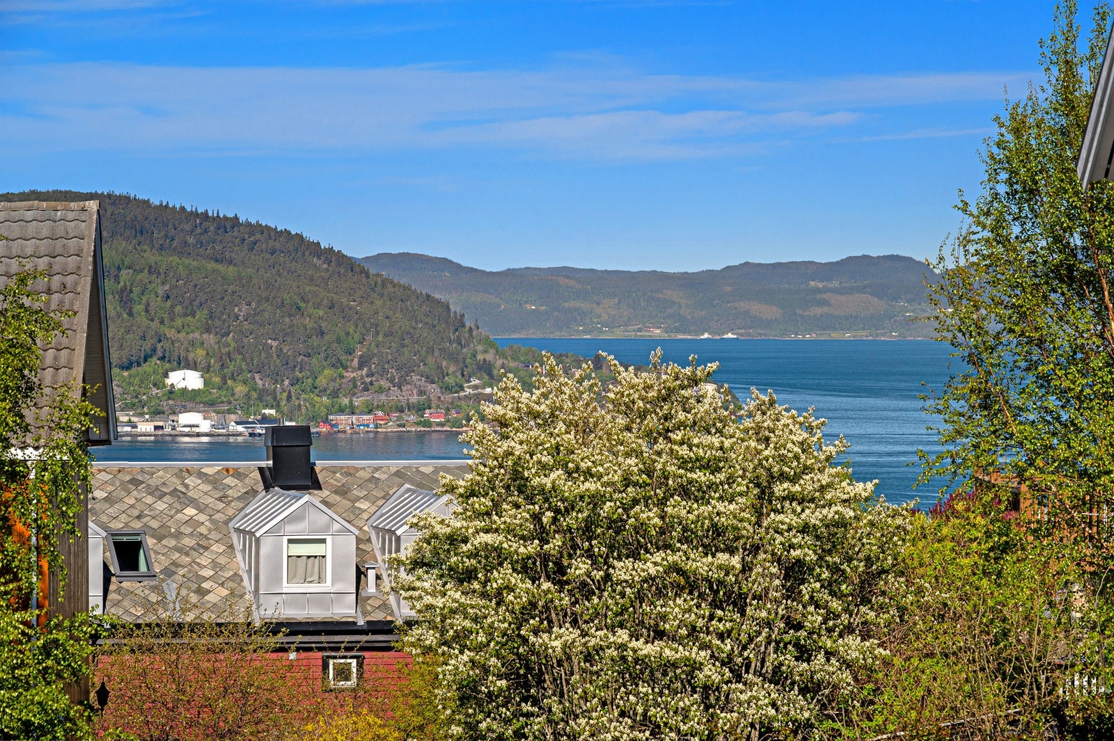 Utsiktsbilde. Galleribilde
