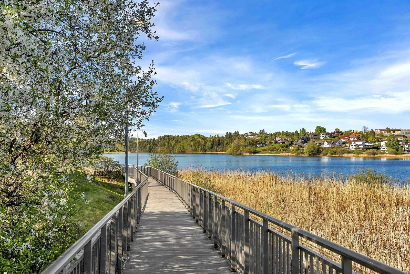et steinkast fra leiligheten finner man flotte turområder og gjellumvannet. Galleribilde