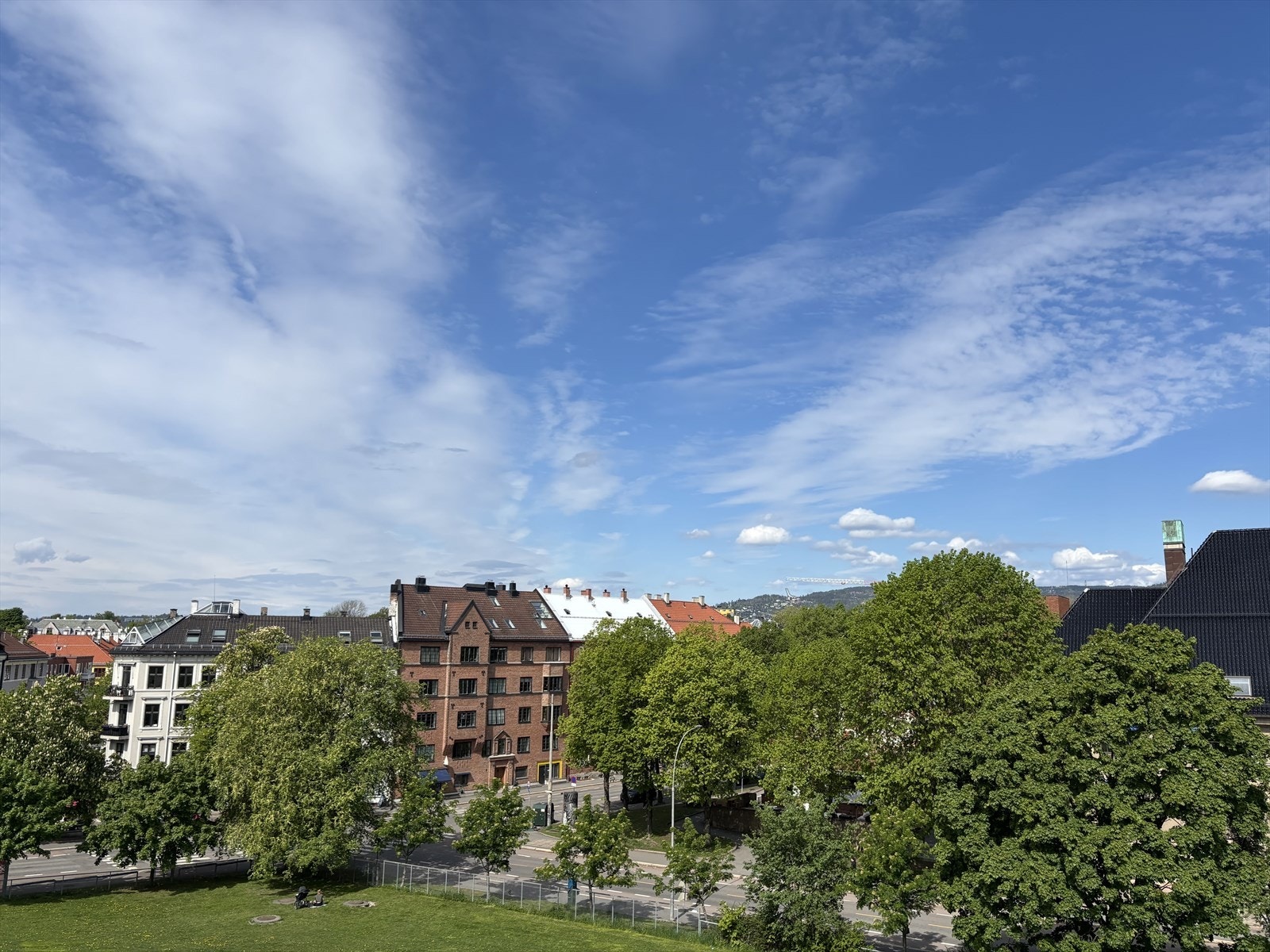 Utsikt fra Idioten park Galleribilde
