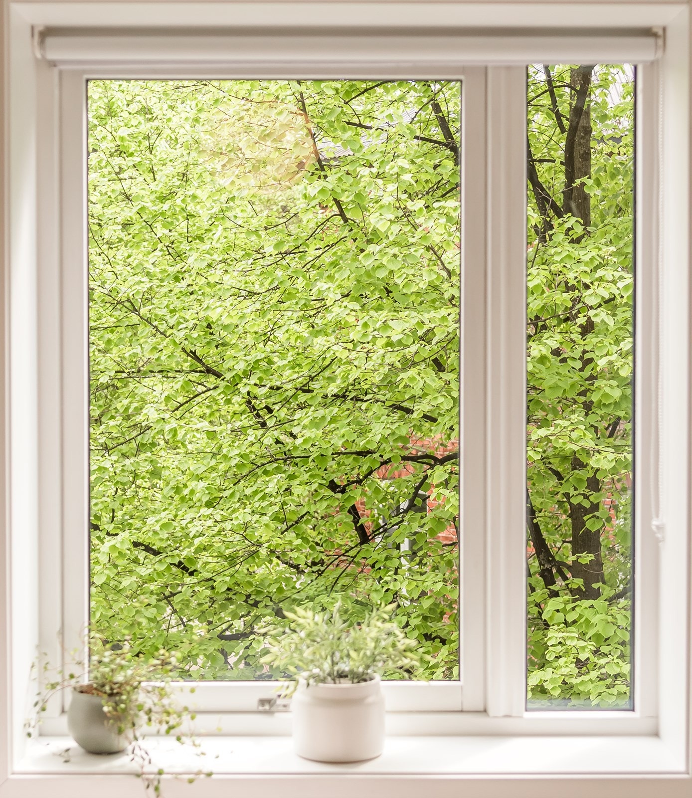 Vinduet fra soverommet har utsyn direkte ut mot Lakkegata. Masse lysinnslipp og et behagelig utsikt mot et blomstrende tre. Galleribilde
