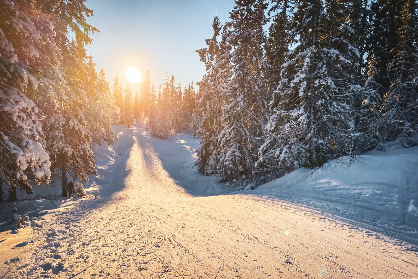 Bymarka ligger innen 10 minutters gange, med sitt fantastiske turstinett sommer som vinter. Galleribilde