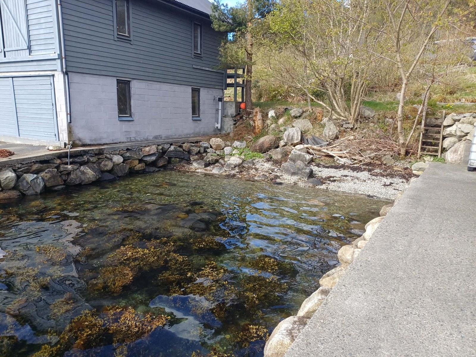 Sjøteig. Galleribilde