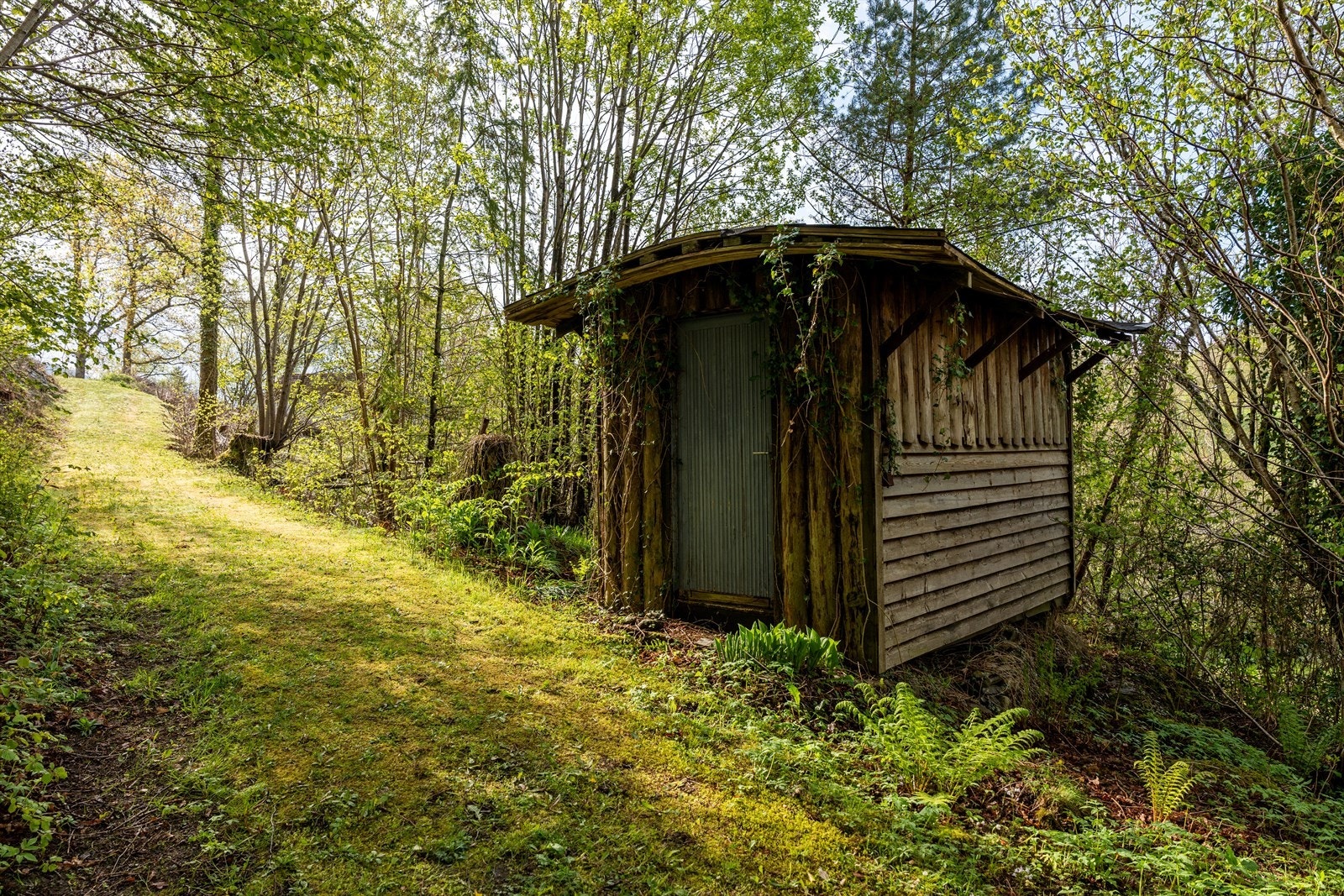 En av de frittstående bodene ligger skjermet til på eiendommen. Galleribilde