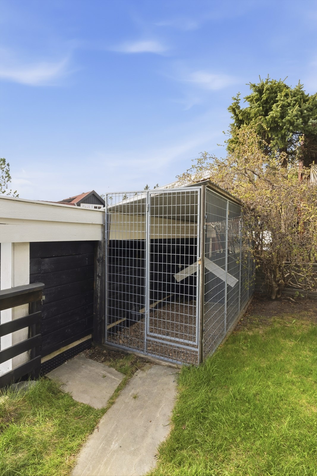 Praktisk kennel plassert så det alltid er skygge for hunden Galleribilde