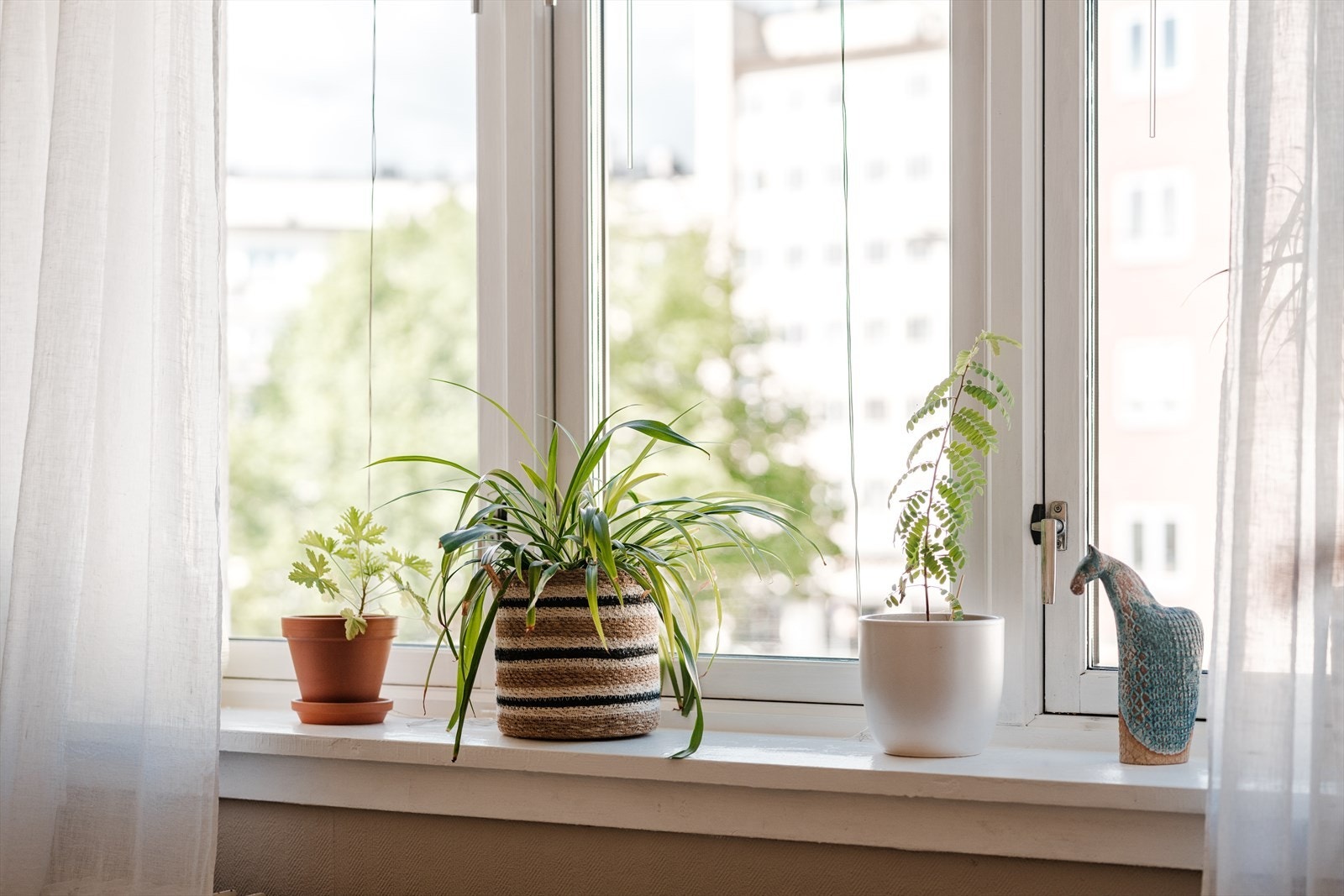 Dype sjarmerende vinduskarmer med plass til blomster og pynt. Galleribilde