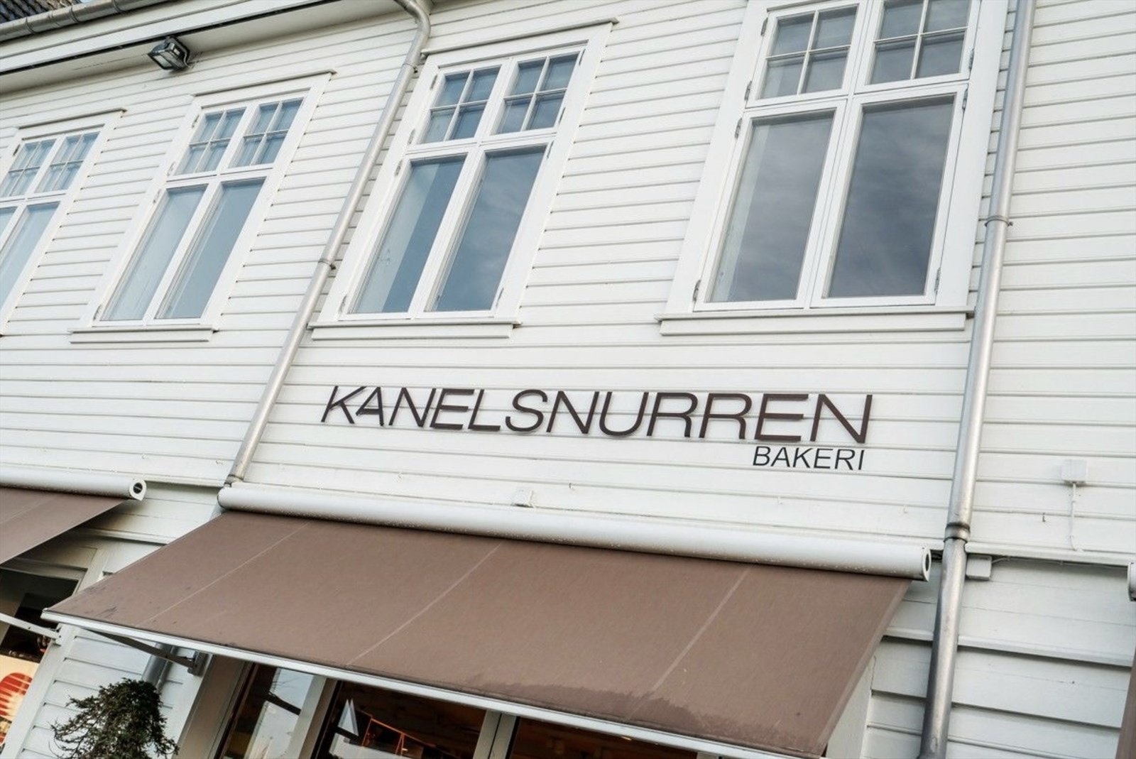 Nærområde Galleribilde