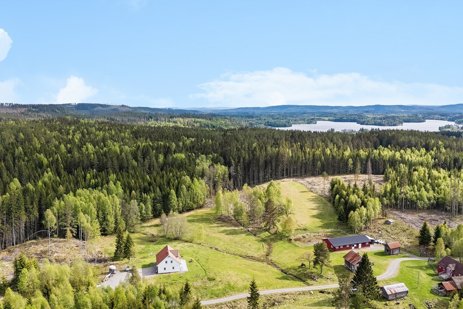 I nærområdet er det fine bademuligheter, blant annet i Nessjøen. Galleribilde