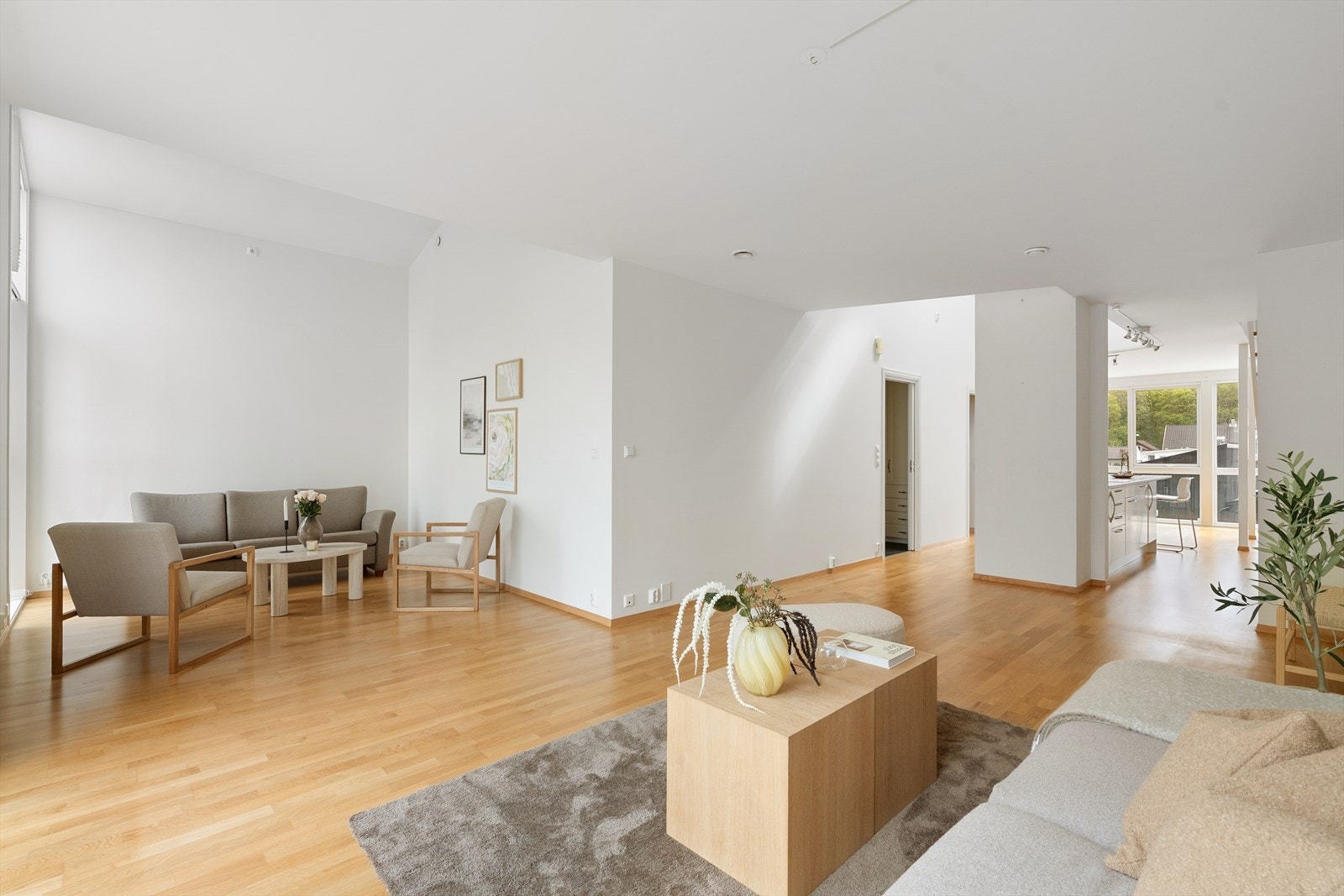 Innholdsrik leilighet over 2 plan med mulighet for alle bofunksjoner på en flate. Galleribilde