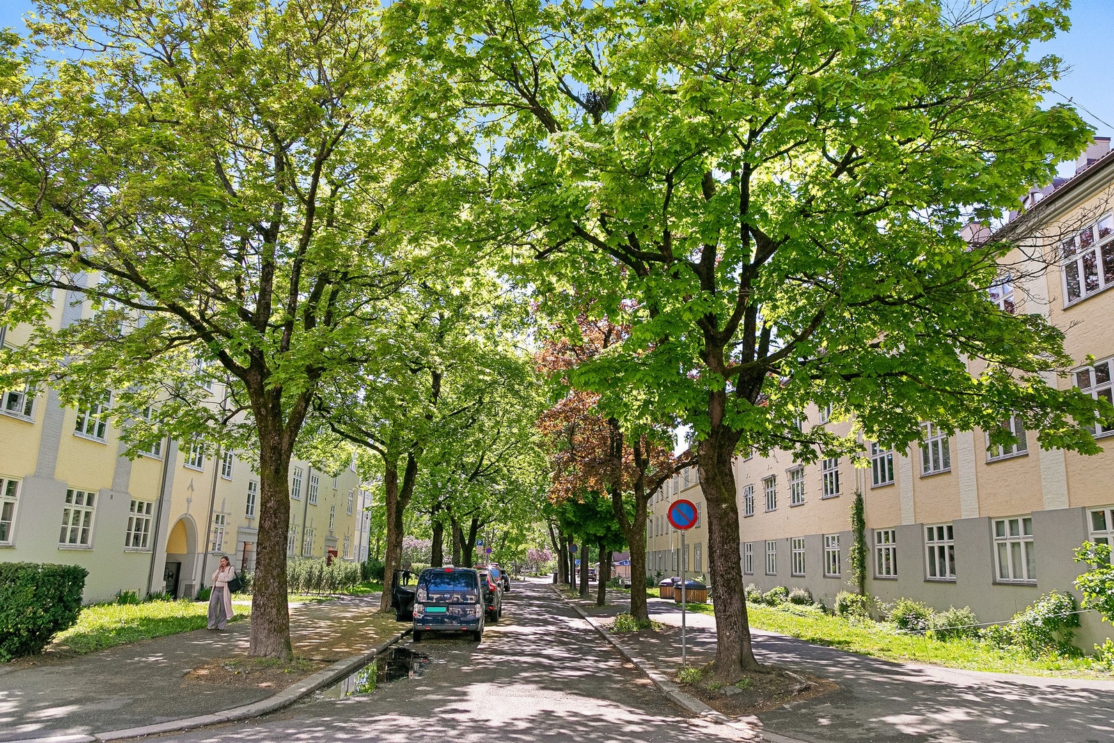 Grønne og frodige gater. Galleribilde