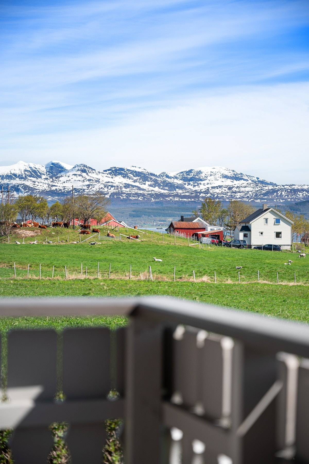 Her bor du omringet av vakre naturomgivelser og flott utsyn fra verandaen! Galleribilde