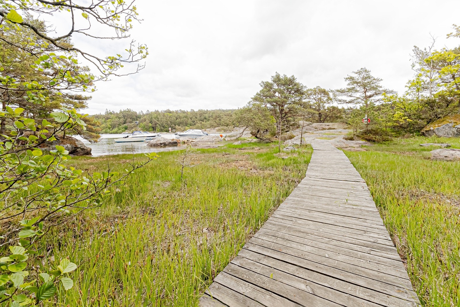 I nærheten er det bade og båtplass Galleribilde