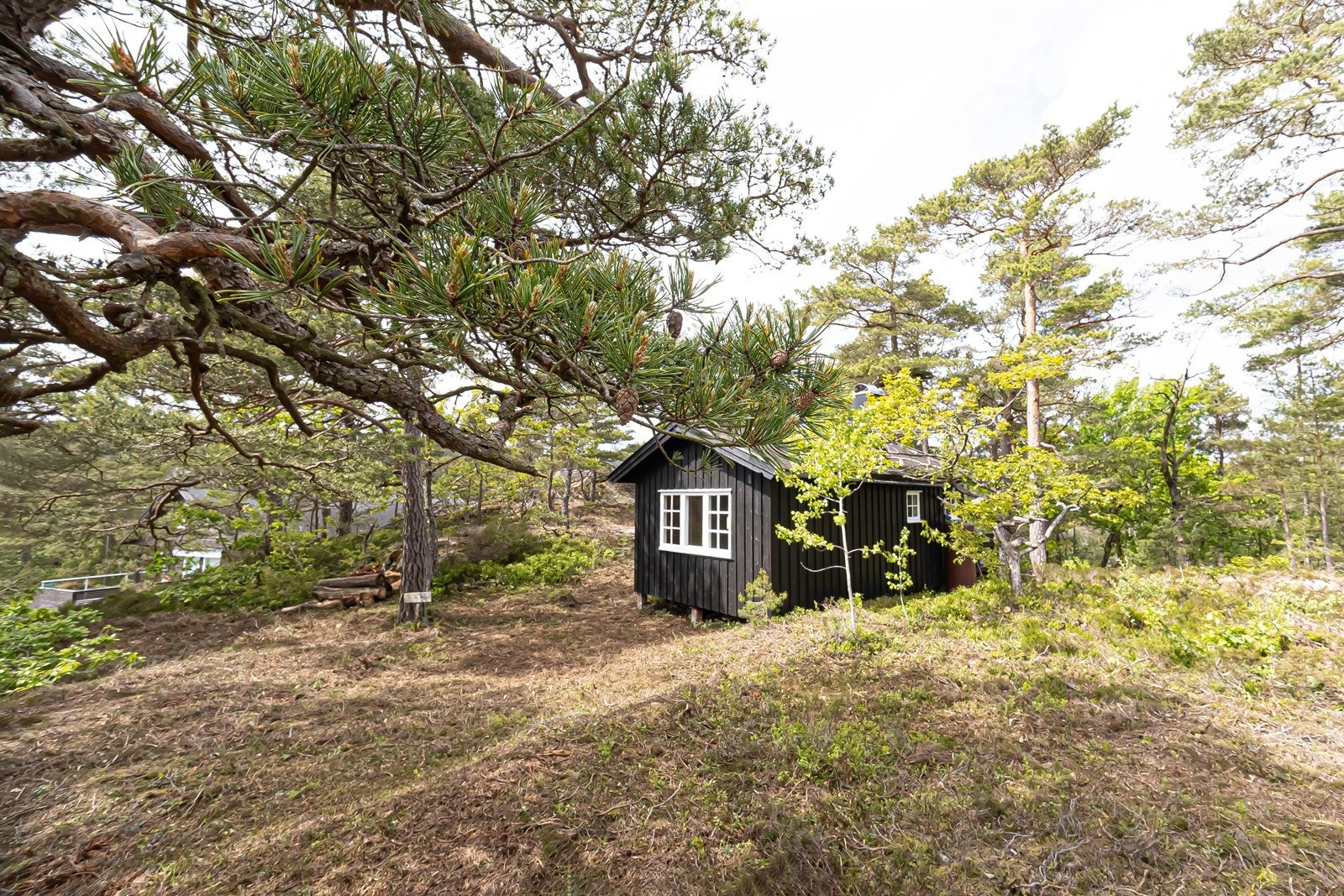 Tomten ligger på en topp, godt skjermet fra naboer Galleribilde