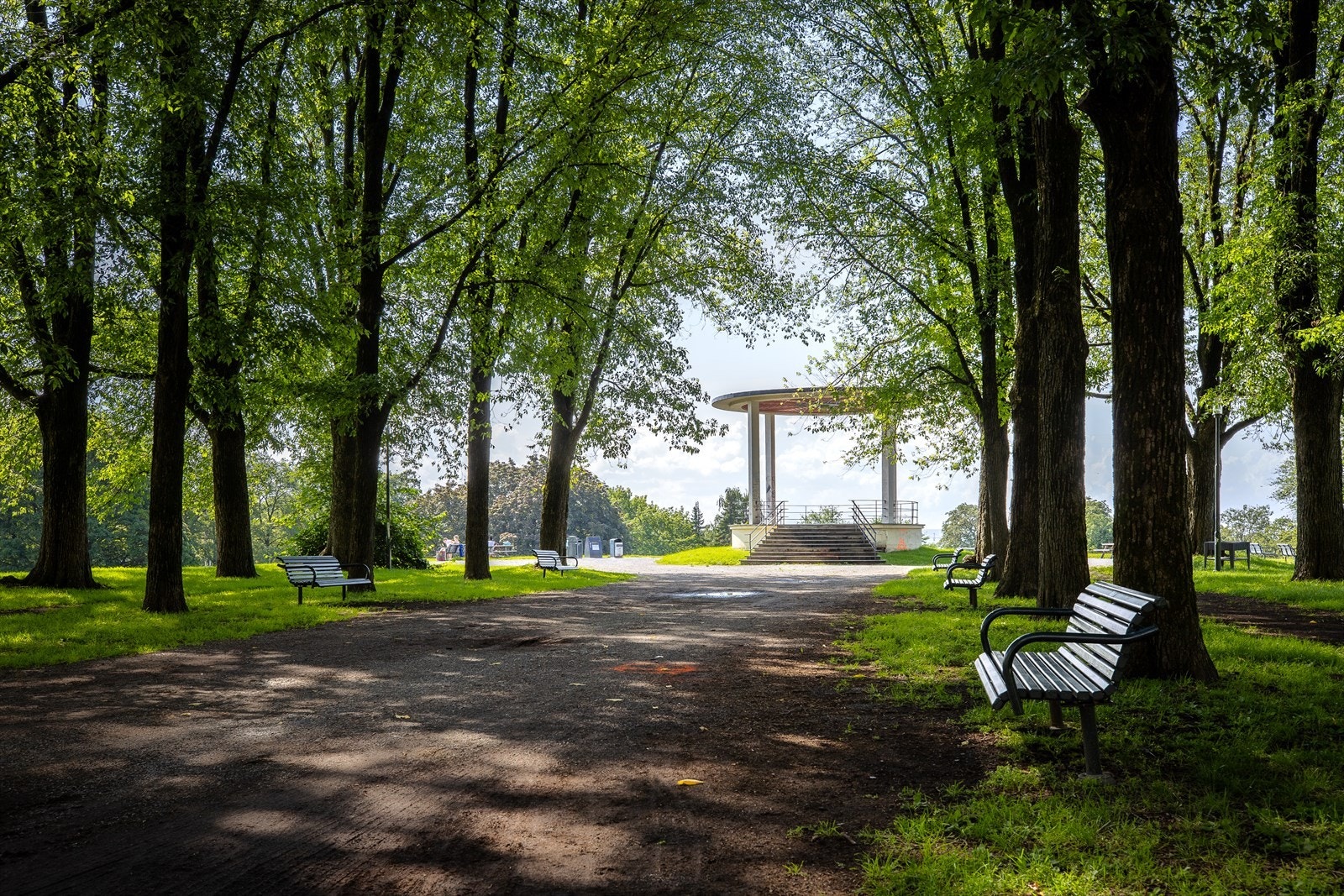 Områdebilde. Galleribilde