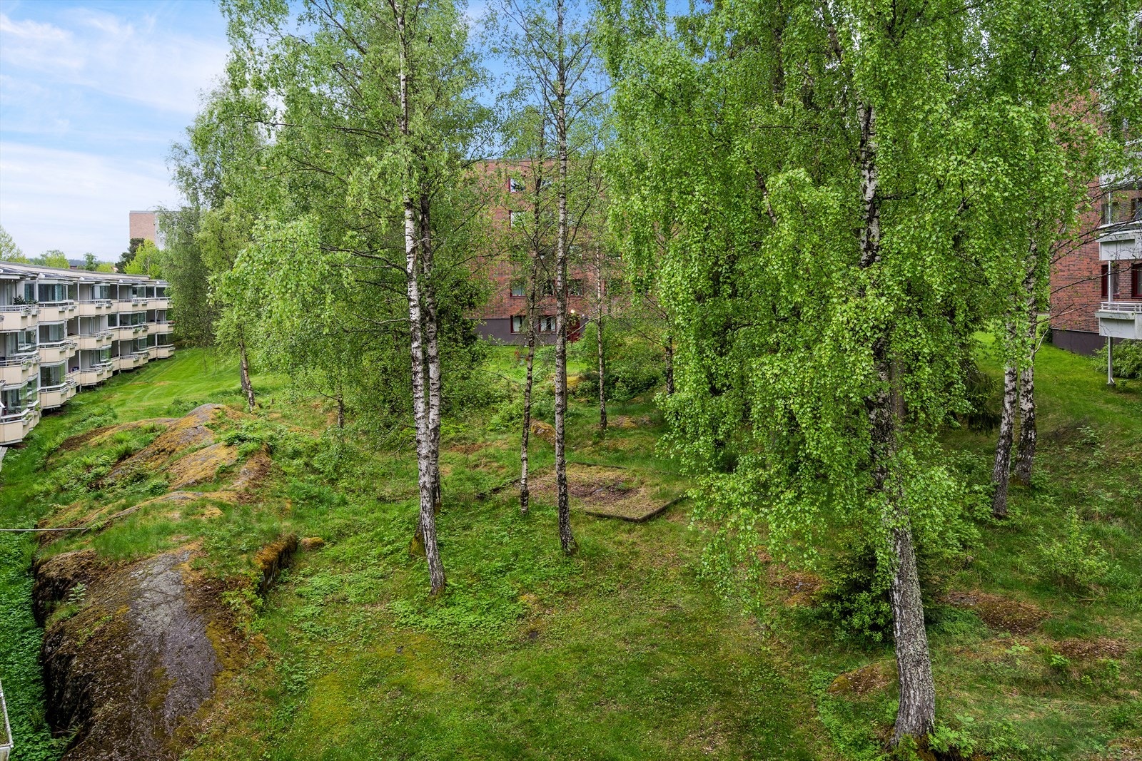 Eiendommen ligger i et område med nærhet til skog og mark, perfekt for tur og rekreasjon. Galleribilde