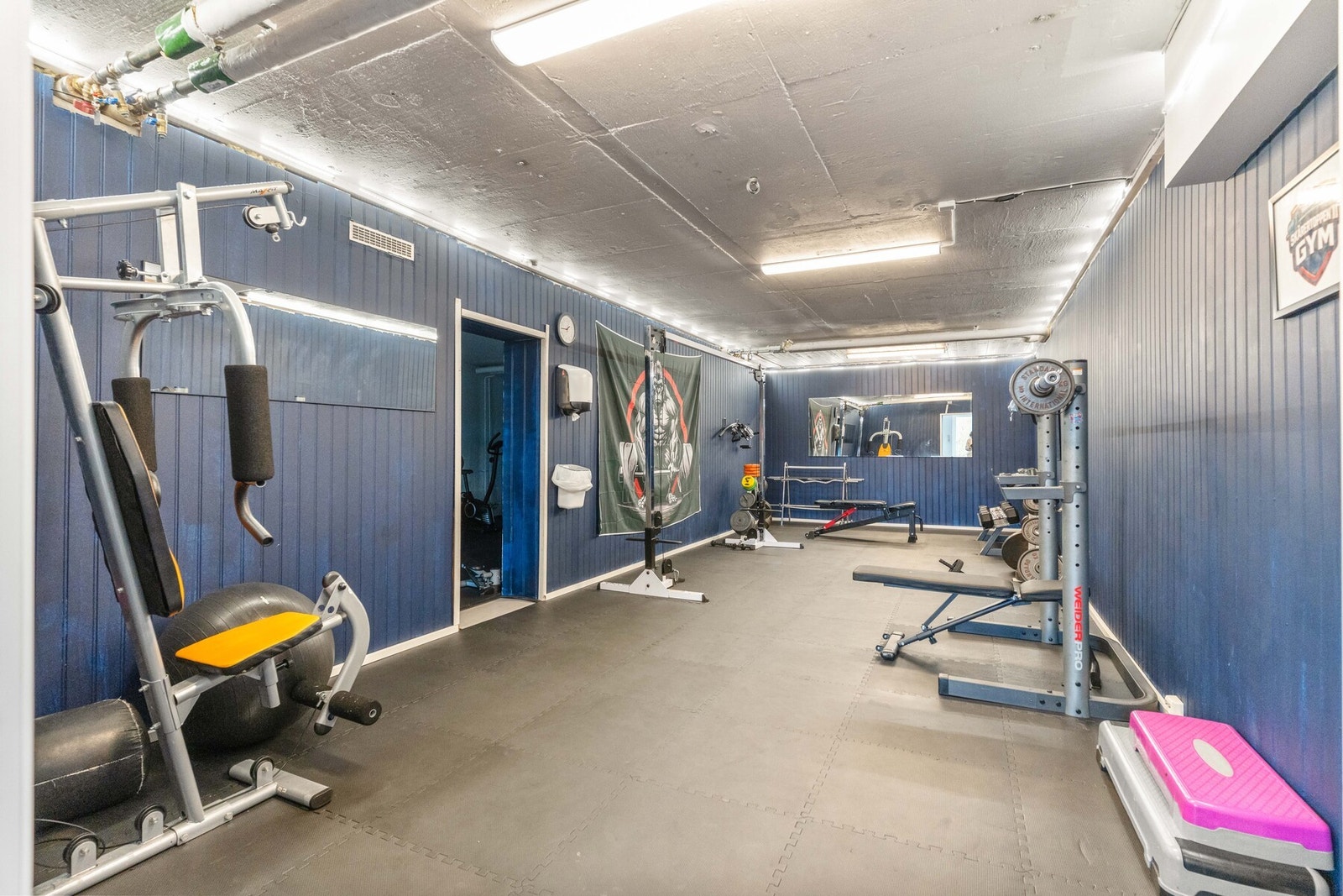 Eget trimrom i underetasjen. Galleribilde