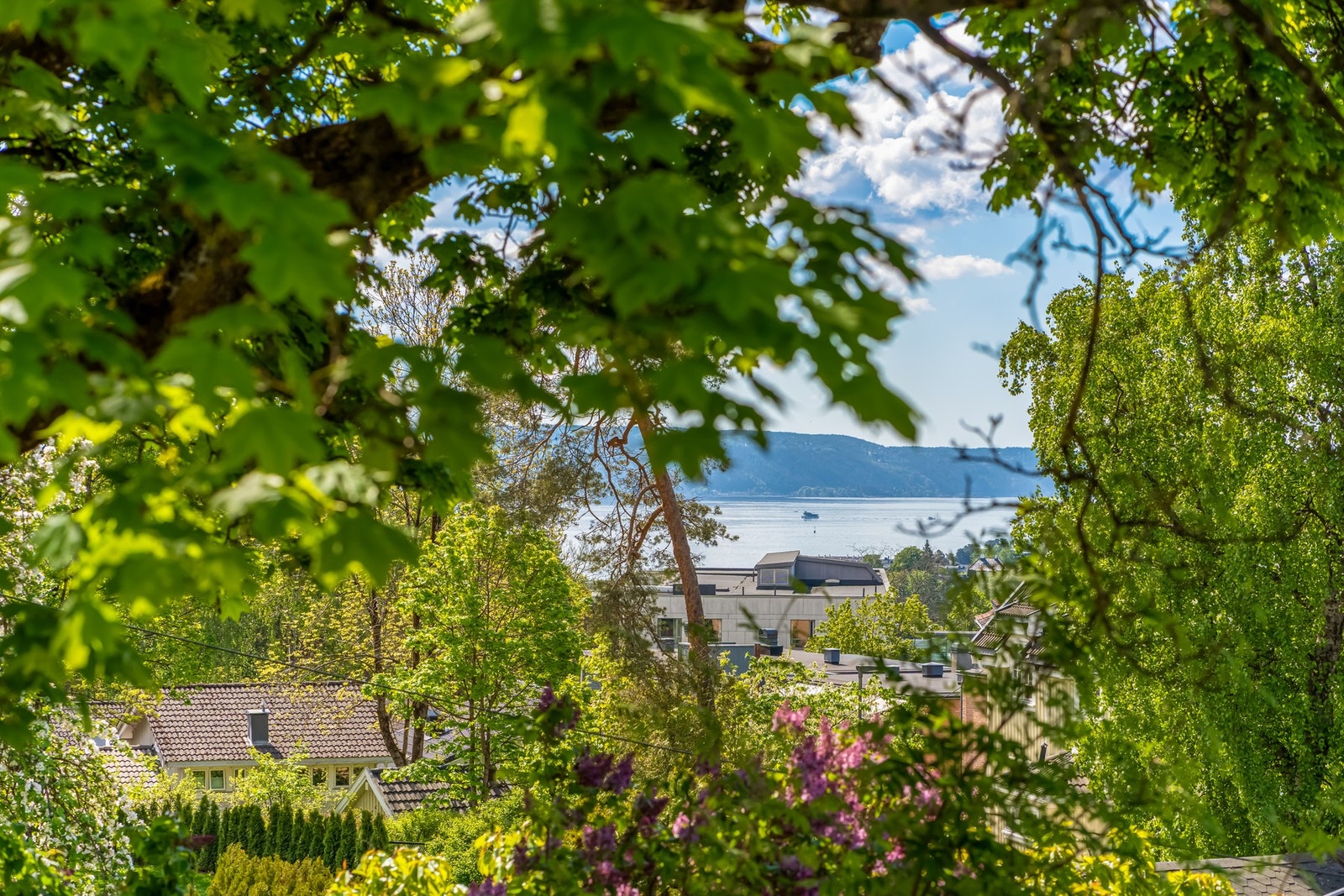 Utsikt fra tomten, det er det vi kaller fjordgløtt. Galleribilde