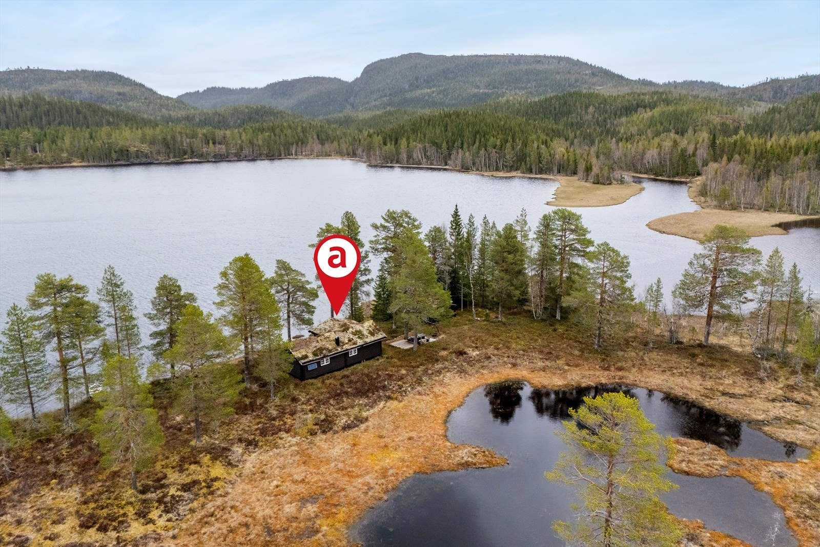 Her ligger du skjermet til nede ved vannet med flott utsikt og naturen rett utenfor hyttedøra. Mange fine turområder i umiddelbar nærhet, jakt, fiske, sopp og bær. Galleribilde