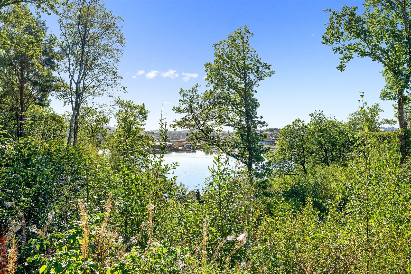 Nærområde. Galleribilde